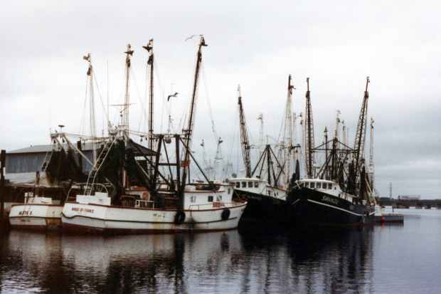 boats fishing boat harbor harbour